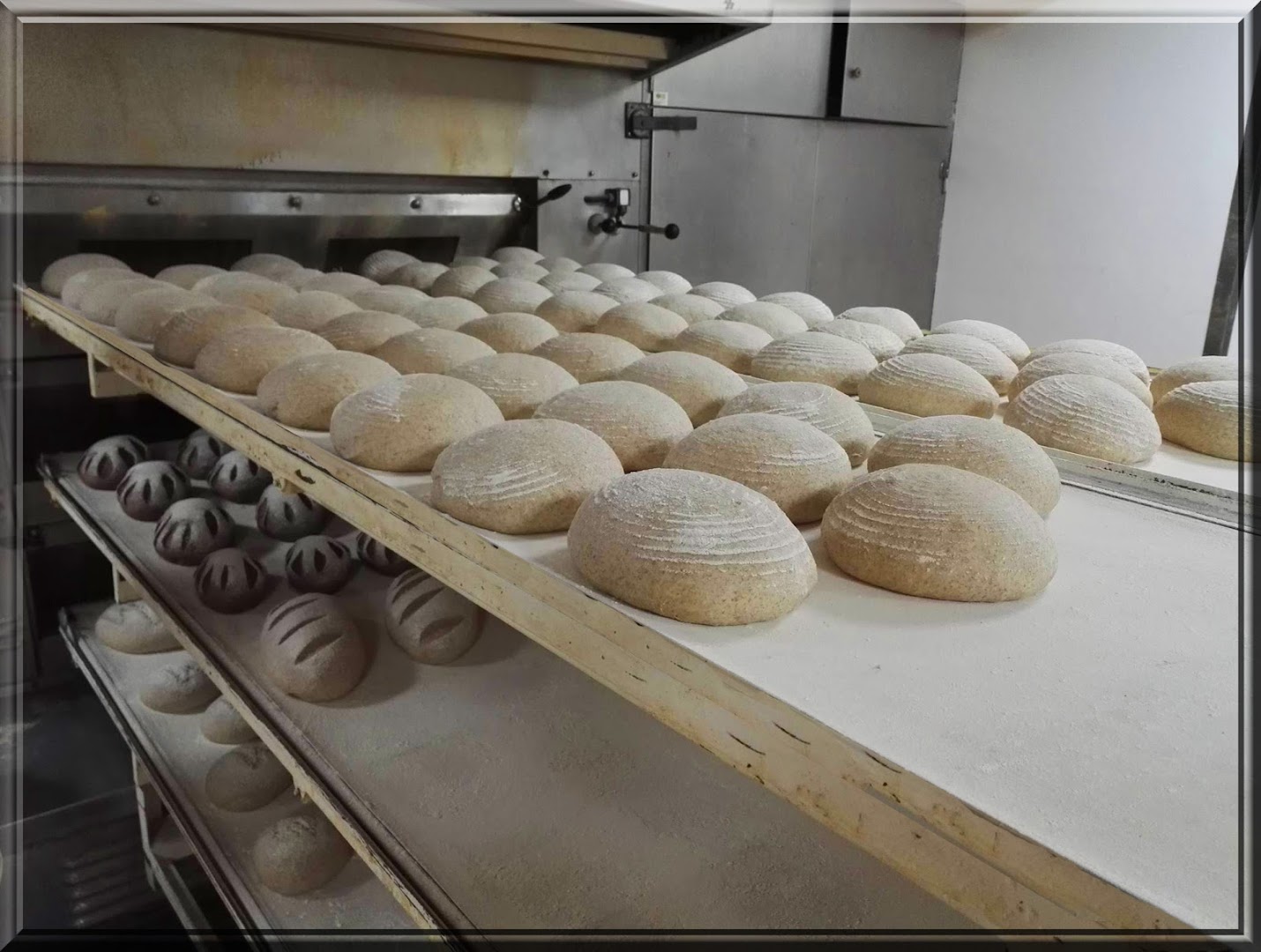 Bakery Marichal · Photos 1